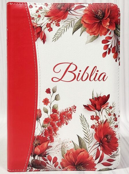 Biblia rom 056 ZTI