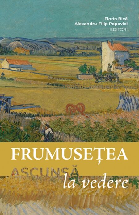 Frumusețea ascunsă la vedere